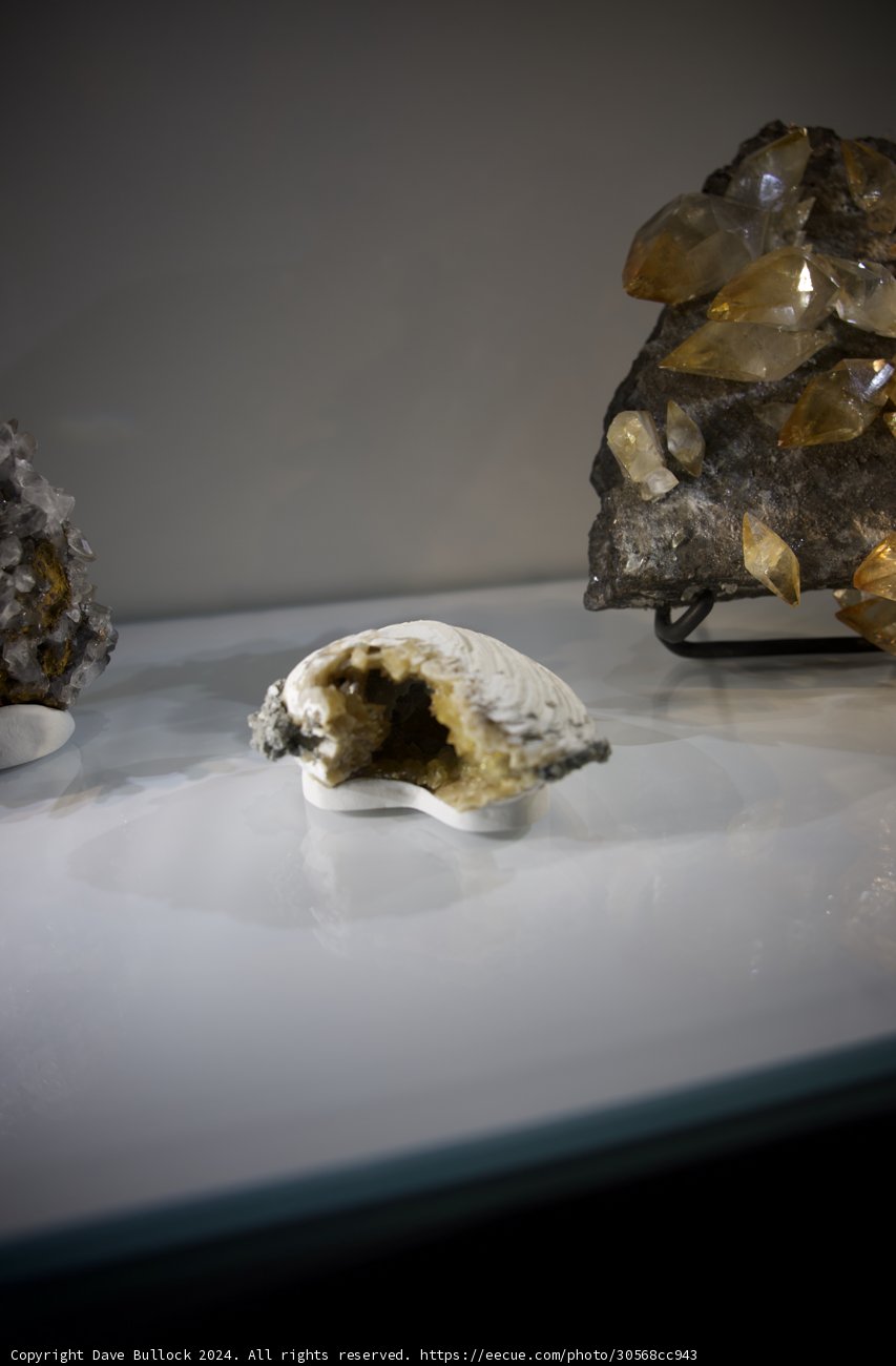 Nature's Treasures on Display