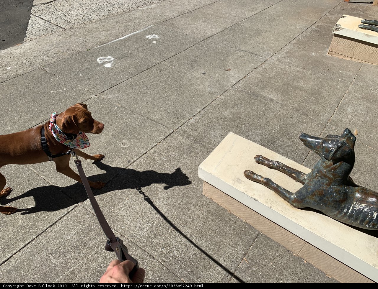Canine Art Appreciation