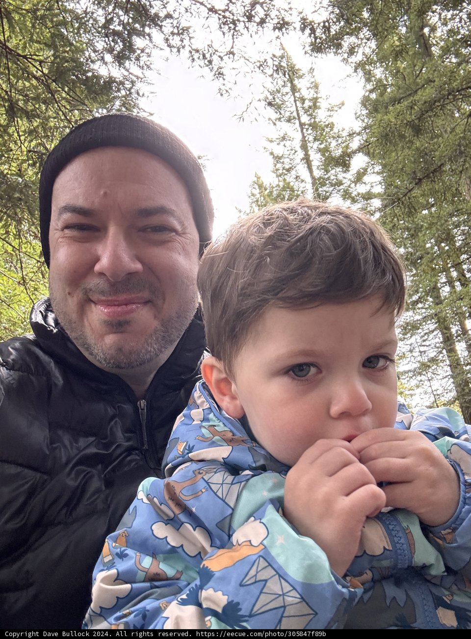 Forest Adventures