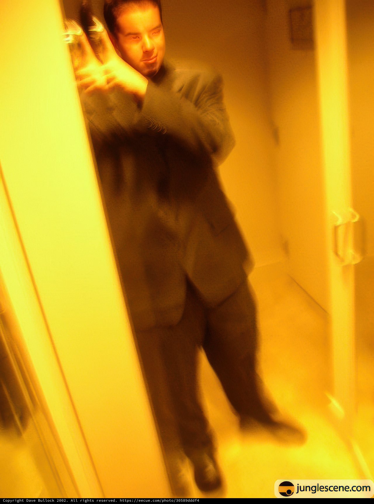 Self-portrait in the Dressing Room