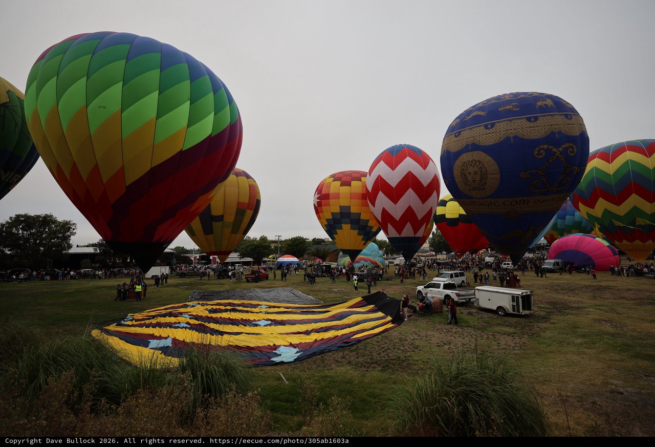 Colorful Hot Air Balloons Fill the Morning Sky