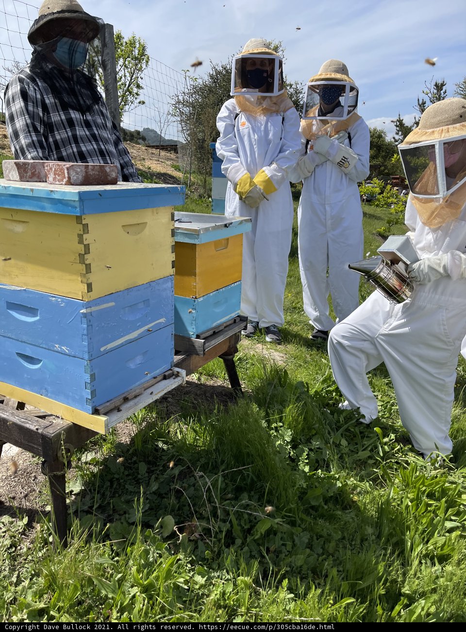 Beekeeping in Protective Suits
