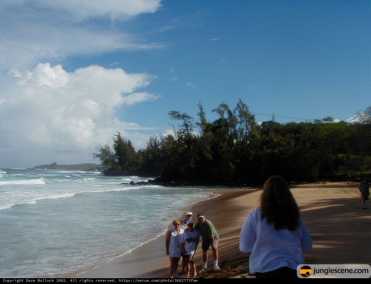 Walking Along the Shoreline