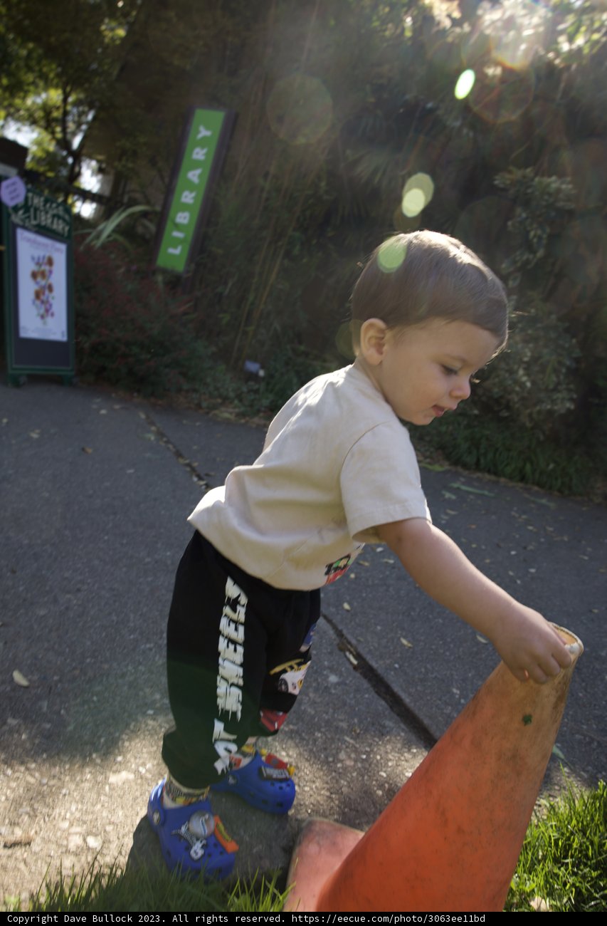 A Day of Fun: Wesley in the San Francisco Botanical Garden