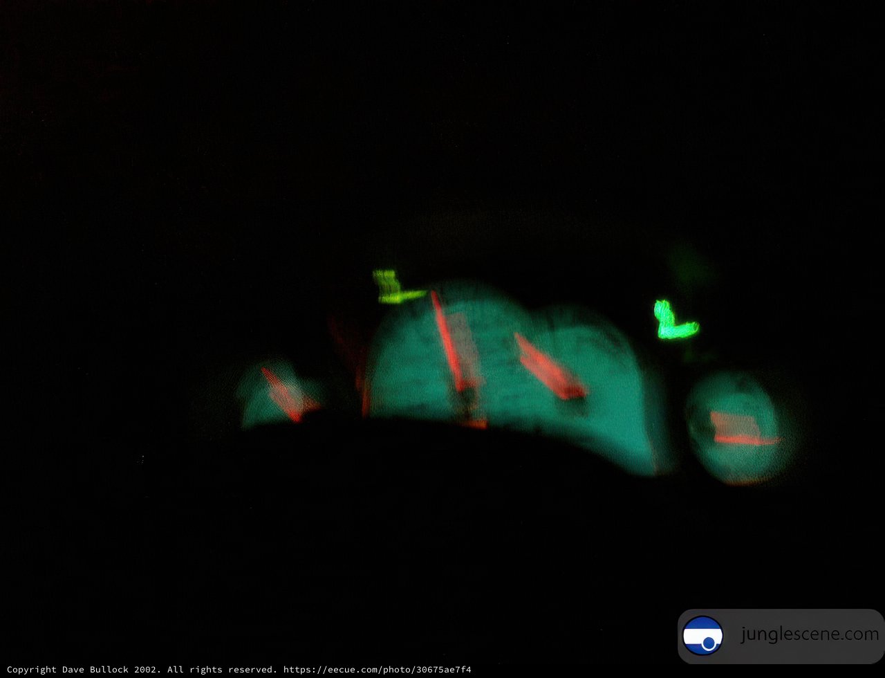 Glowing Green Traffic Light