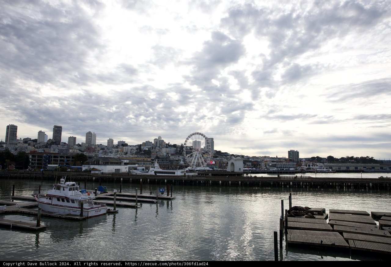 Coastal City Panorama
