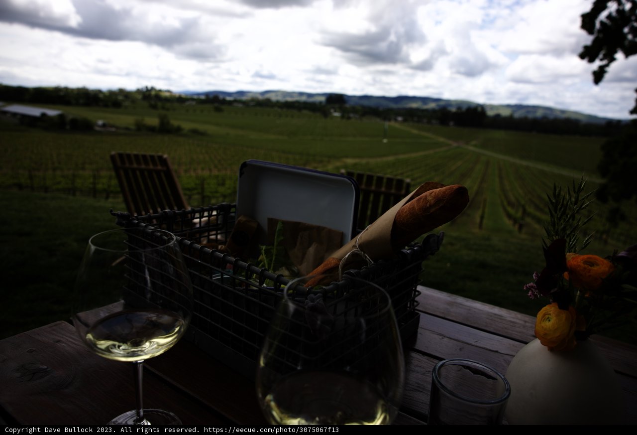 Enchanting Picnic Escape in Sonoma