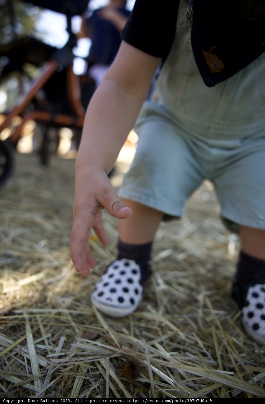 Tiny Steps in Big Shoes