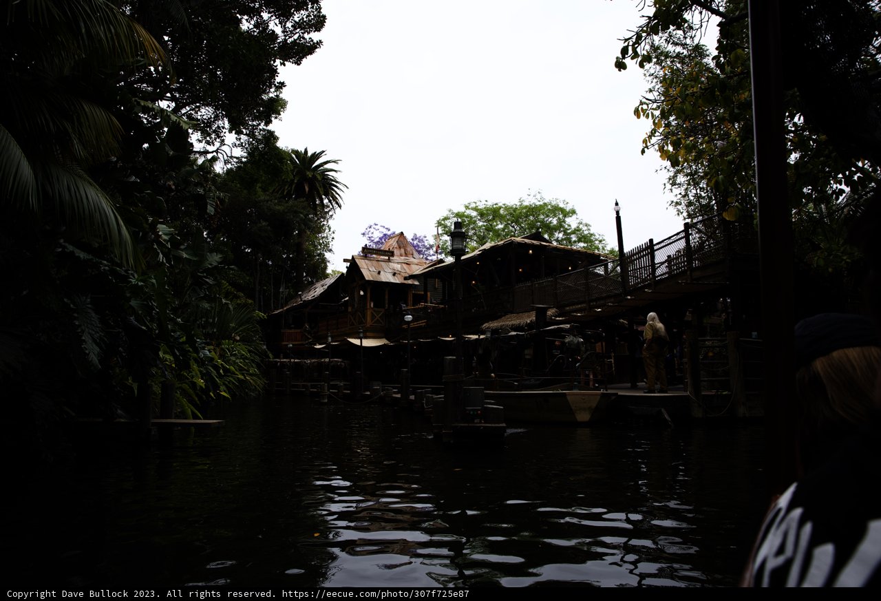 Serene Boat Adventure at Disneyland