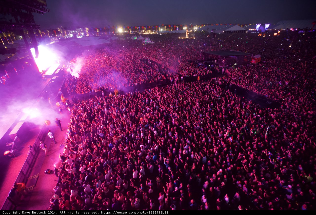 Electric Night: A Concert of Purple Lights and Vibrant Energy