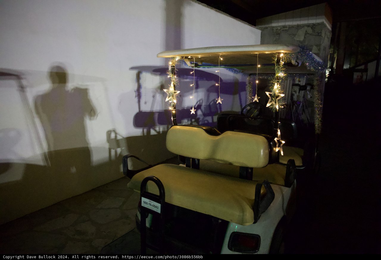 Starlit Shadows at Coachella