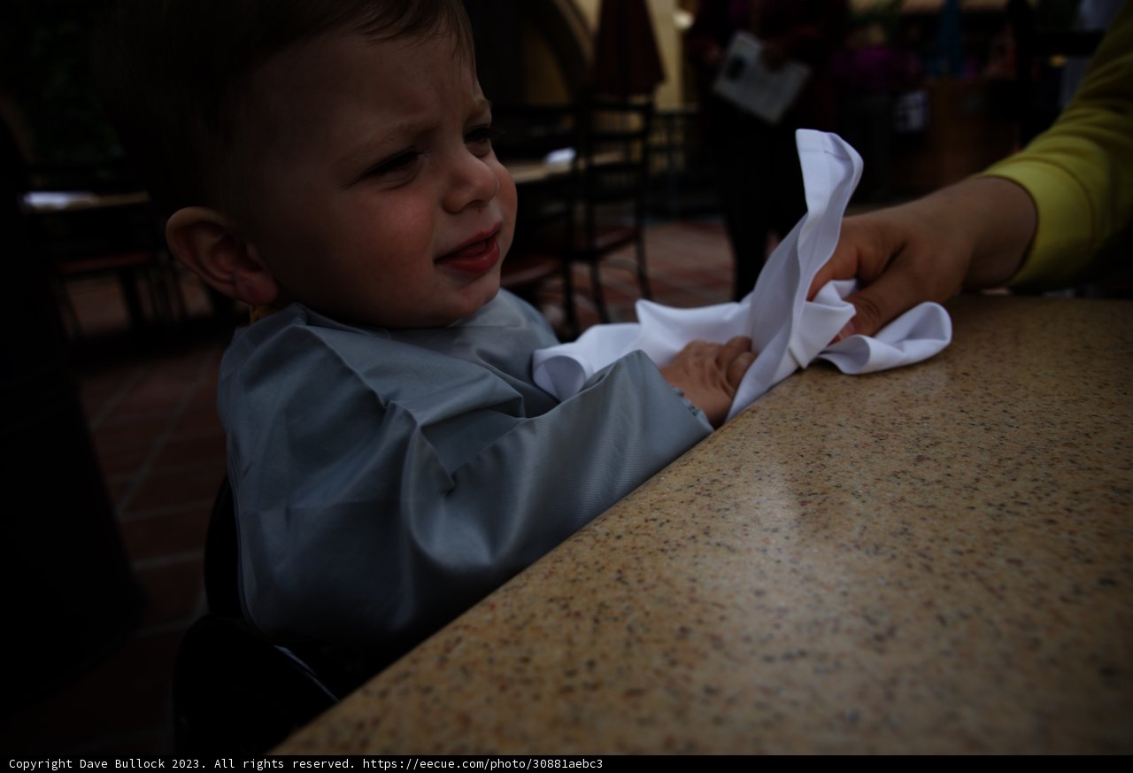 Magical Mealtime at Disneyland