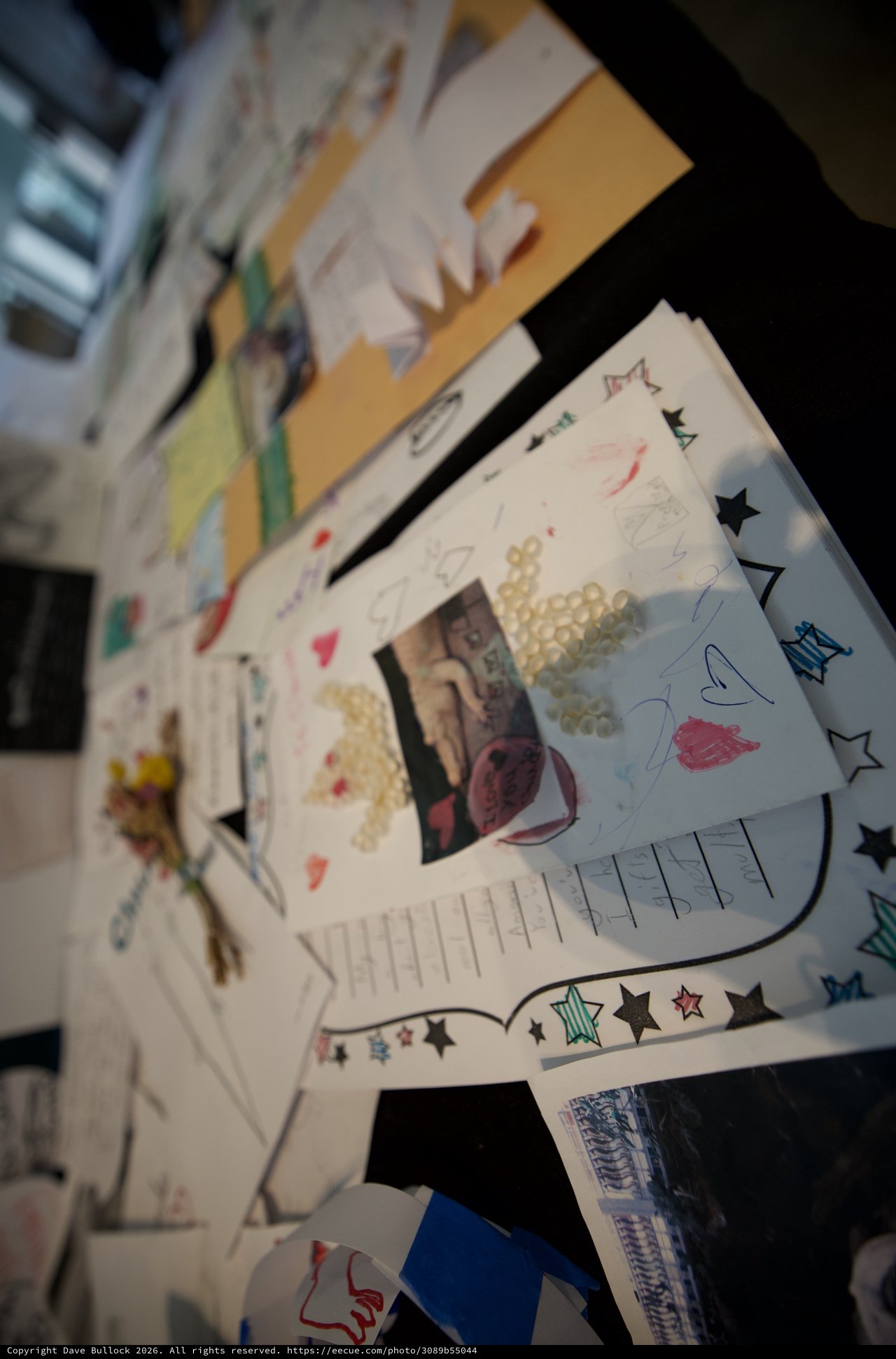 Scattered Memory Pages and Personal Keepsakes Display