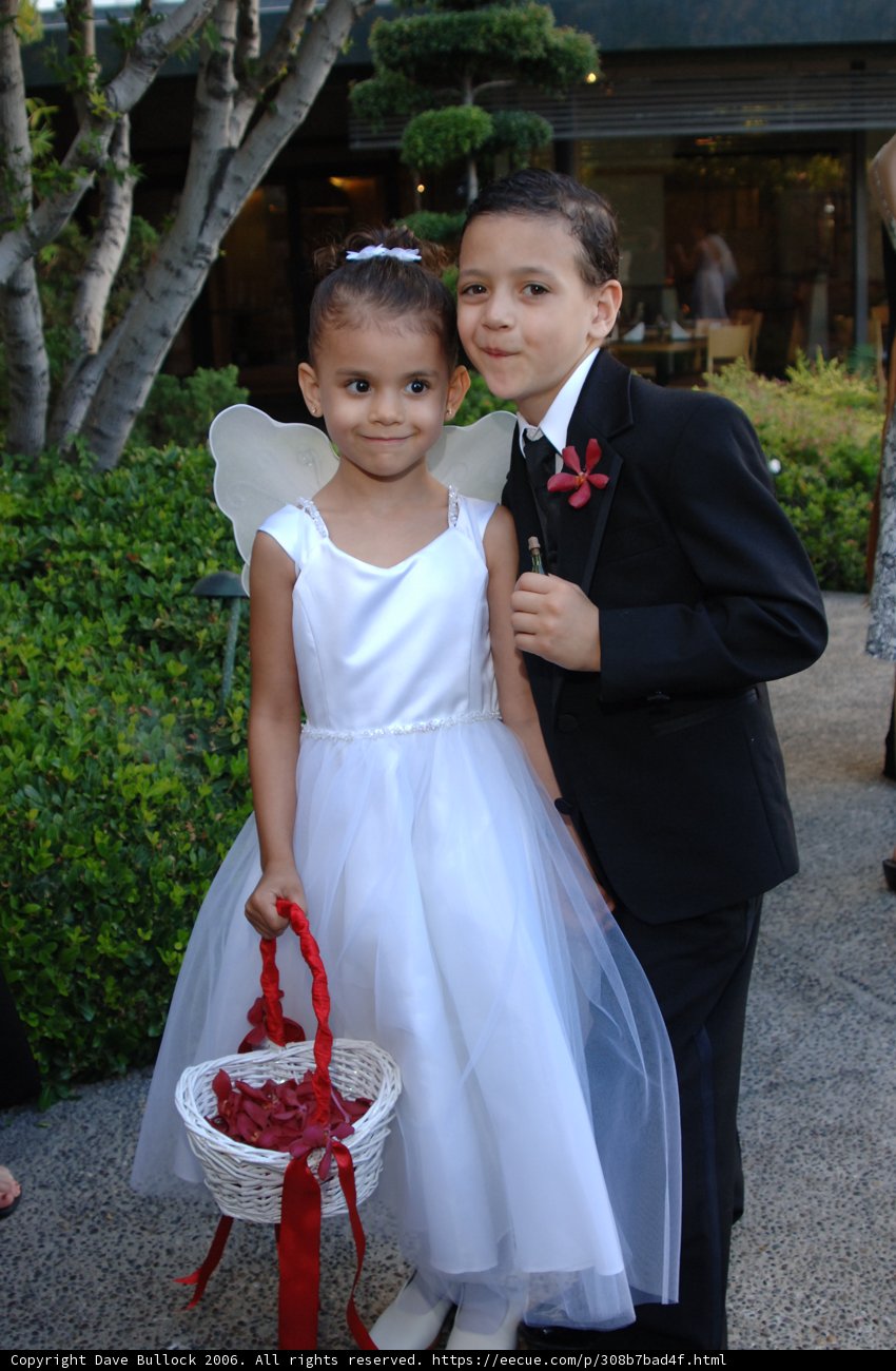 Angels Among Us