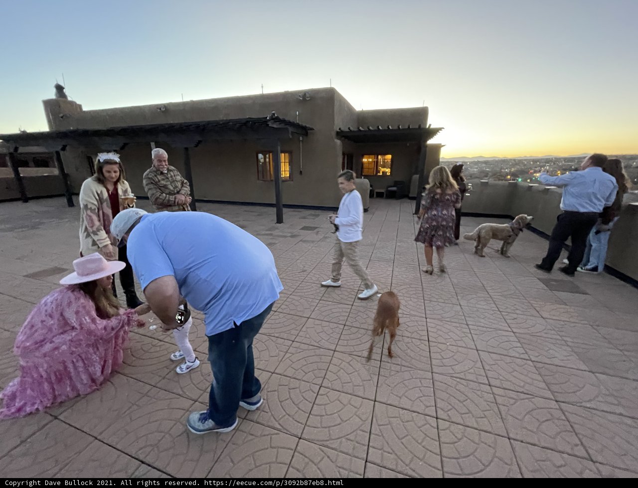 Sunset Rooftop Gathering with Dogs and Friends