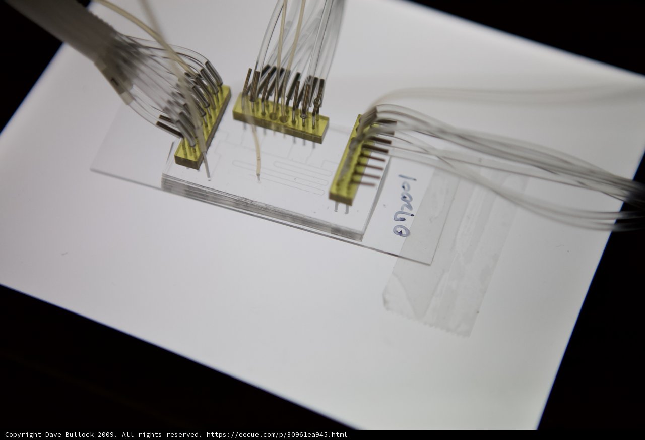 Wired for Progress