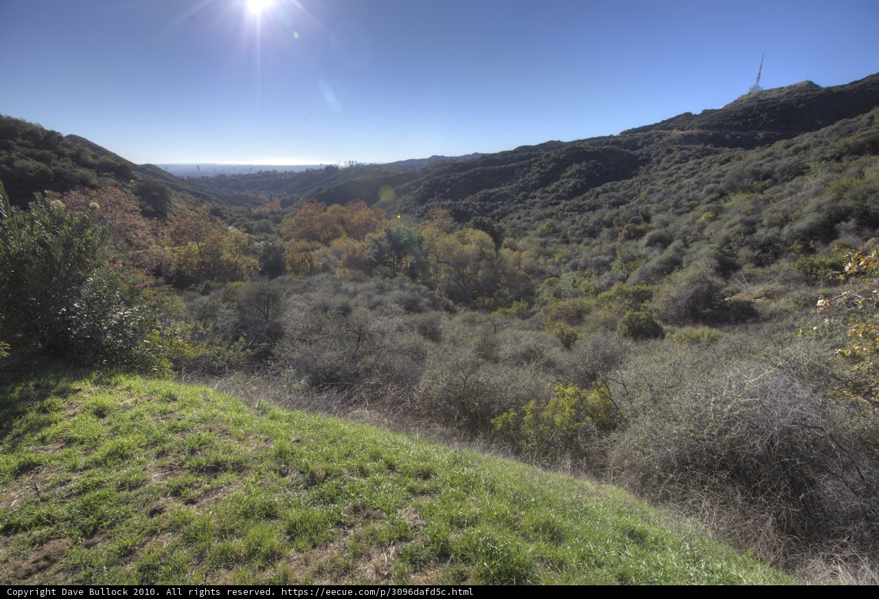 The Serene Hills of Griffith Park
