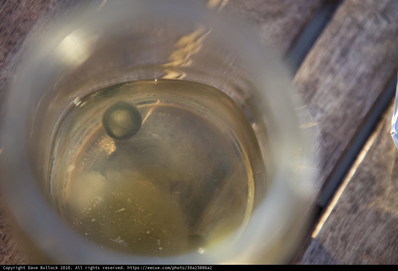 Refreshing Christmas Glass