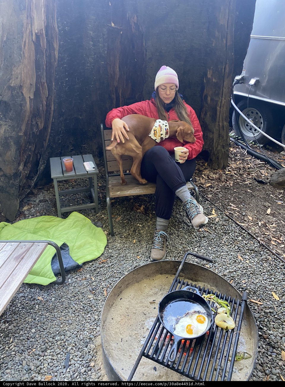 Serene Moment with Furry Companion