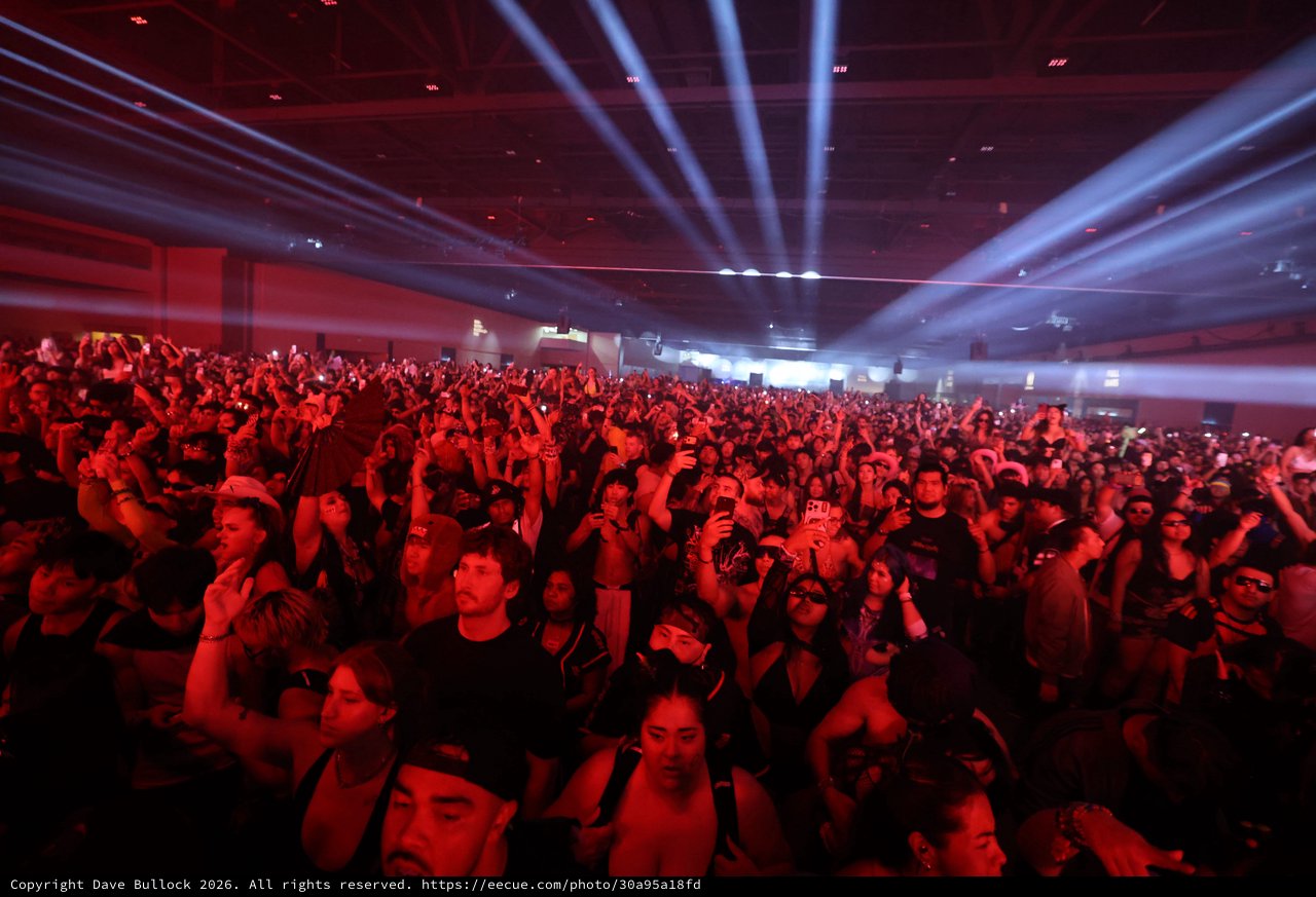 Massive Crowd Electrified by Red Lights at Wobbleland