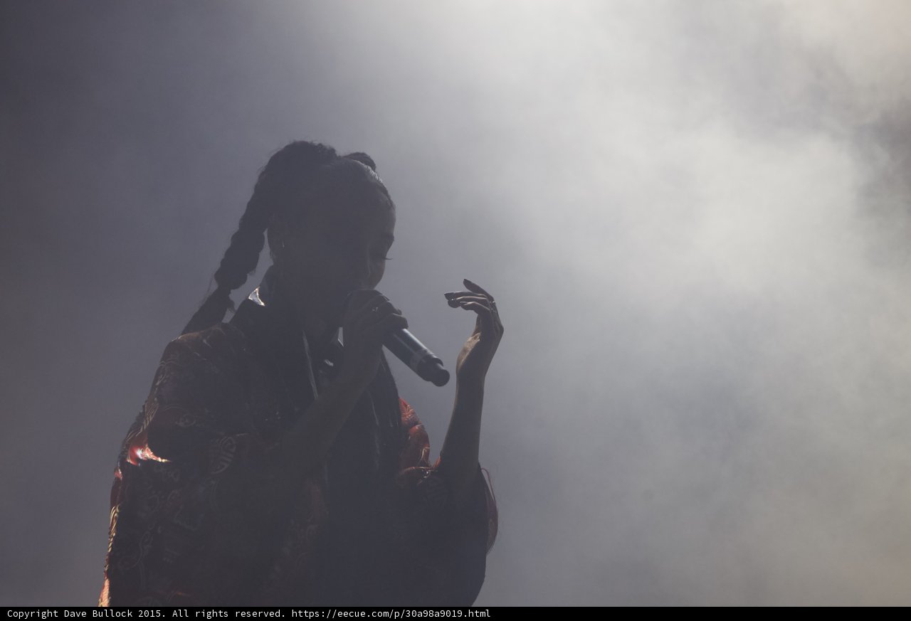 FKA twigs Beautiful Silhouette Portrait Profile Singing Microphone Expressive Hand Braided Ponytails Hoop Earrings Red Kimono