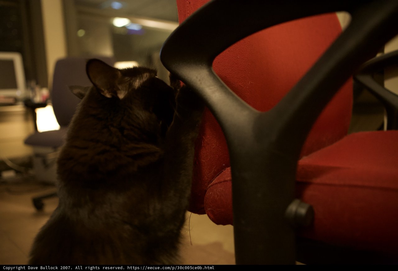 The Nightly Lounge Visitor