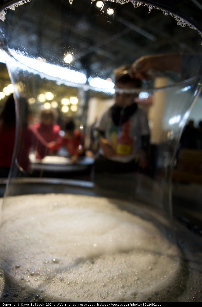 Diving into the Beer Bowl: A Surreal Session at the Exploratorium with Wesley
