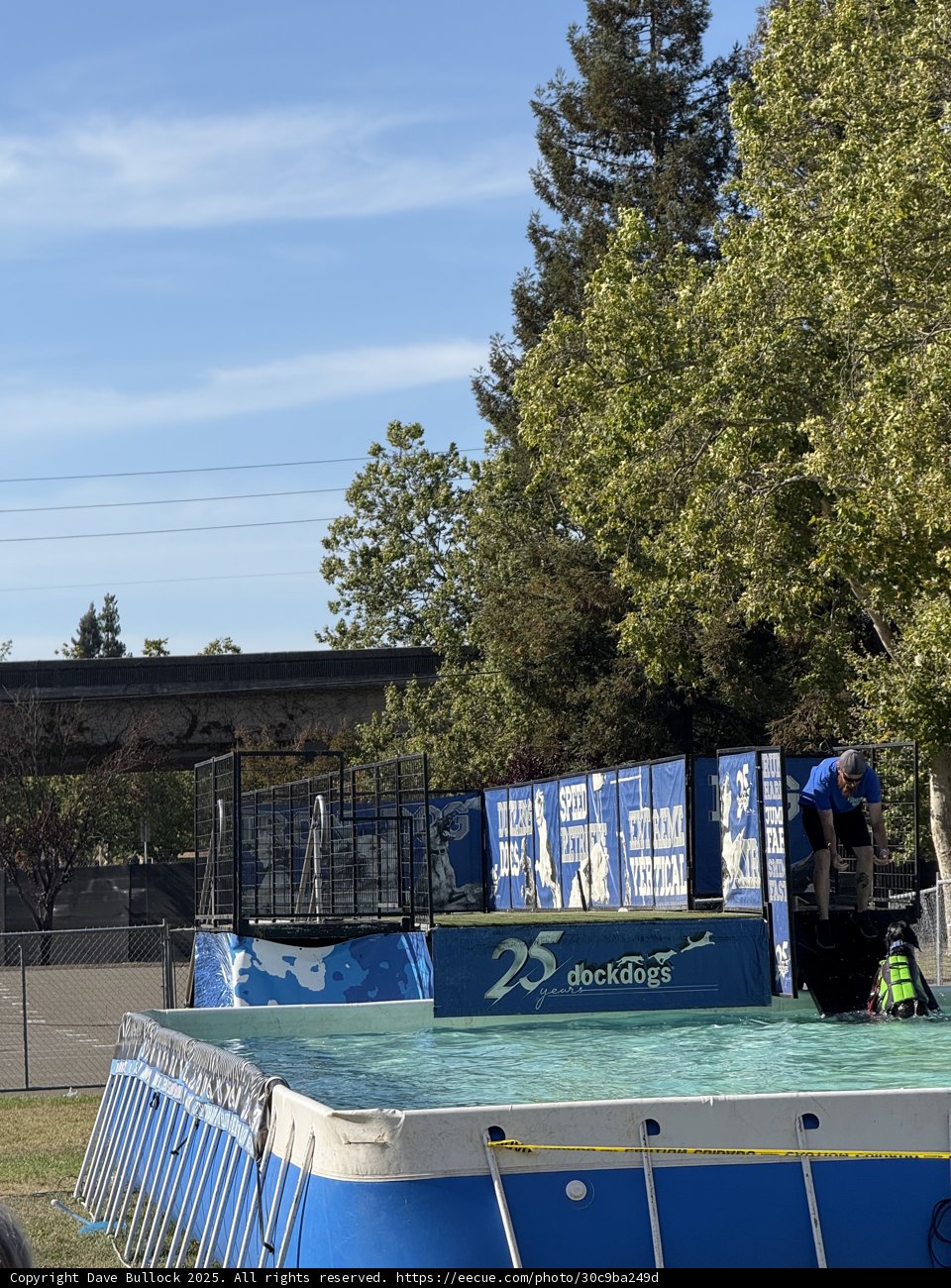 Splashing into Summer Fun