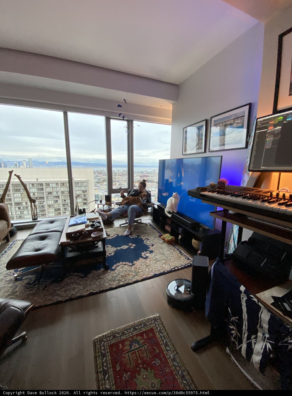 Room with a View