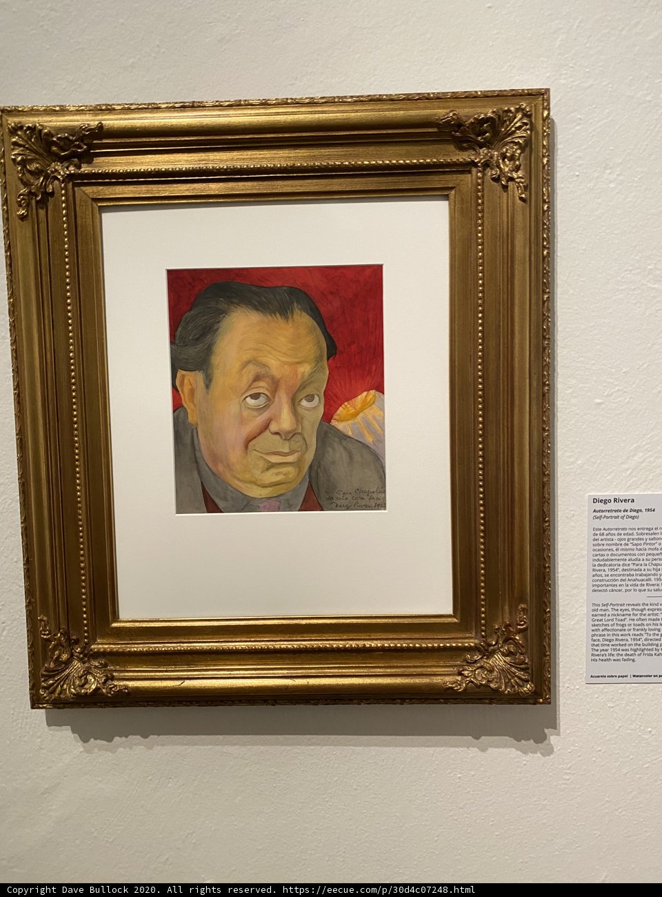 Exquisite Portrait of a Distinguished Gentleman