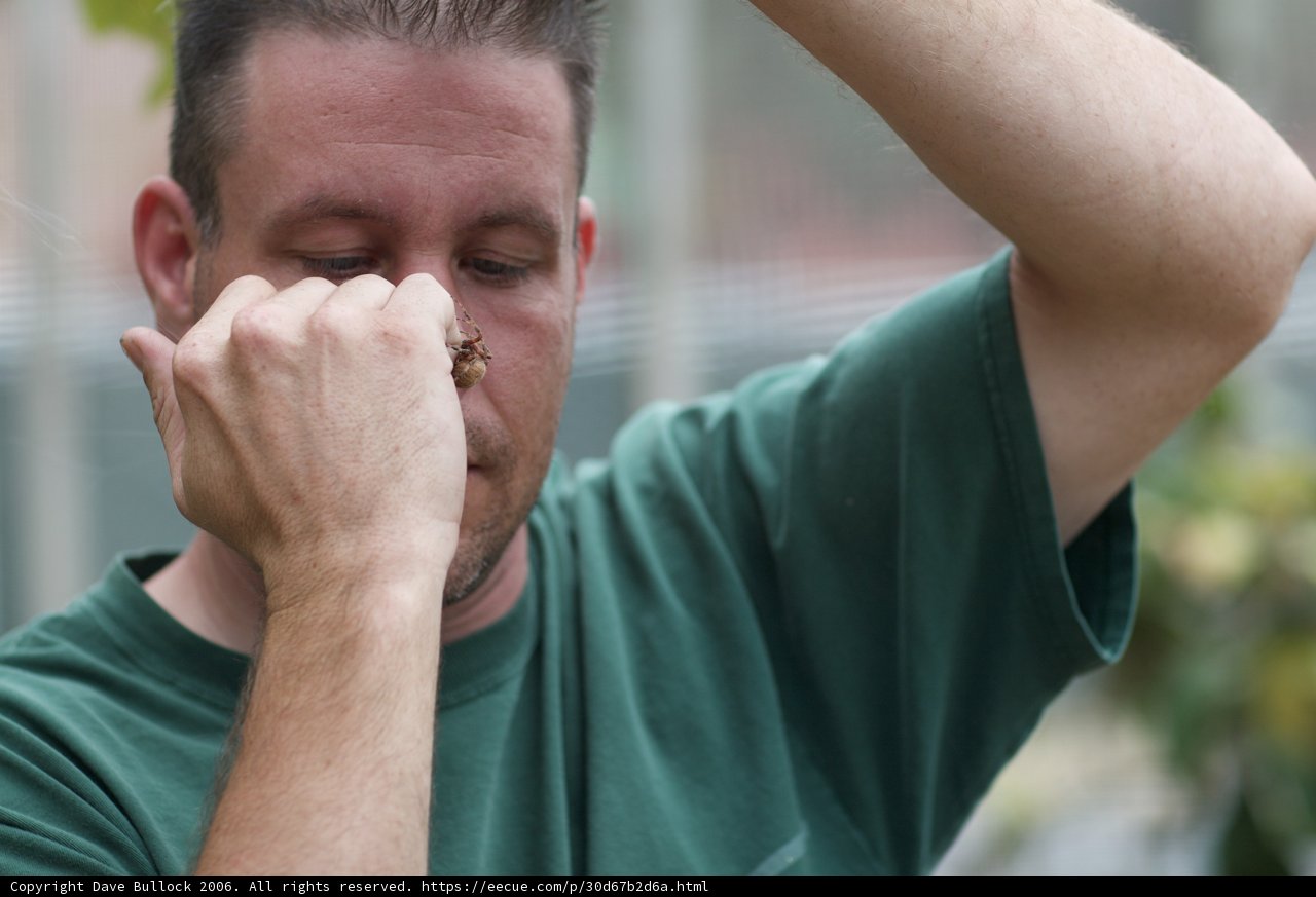 Man Rubbing His Face