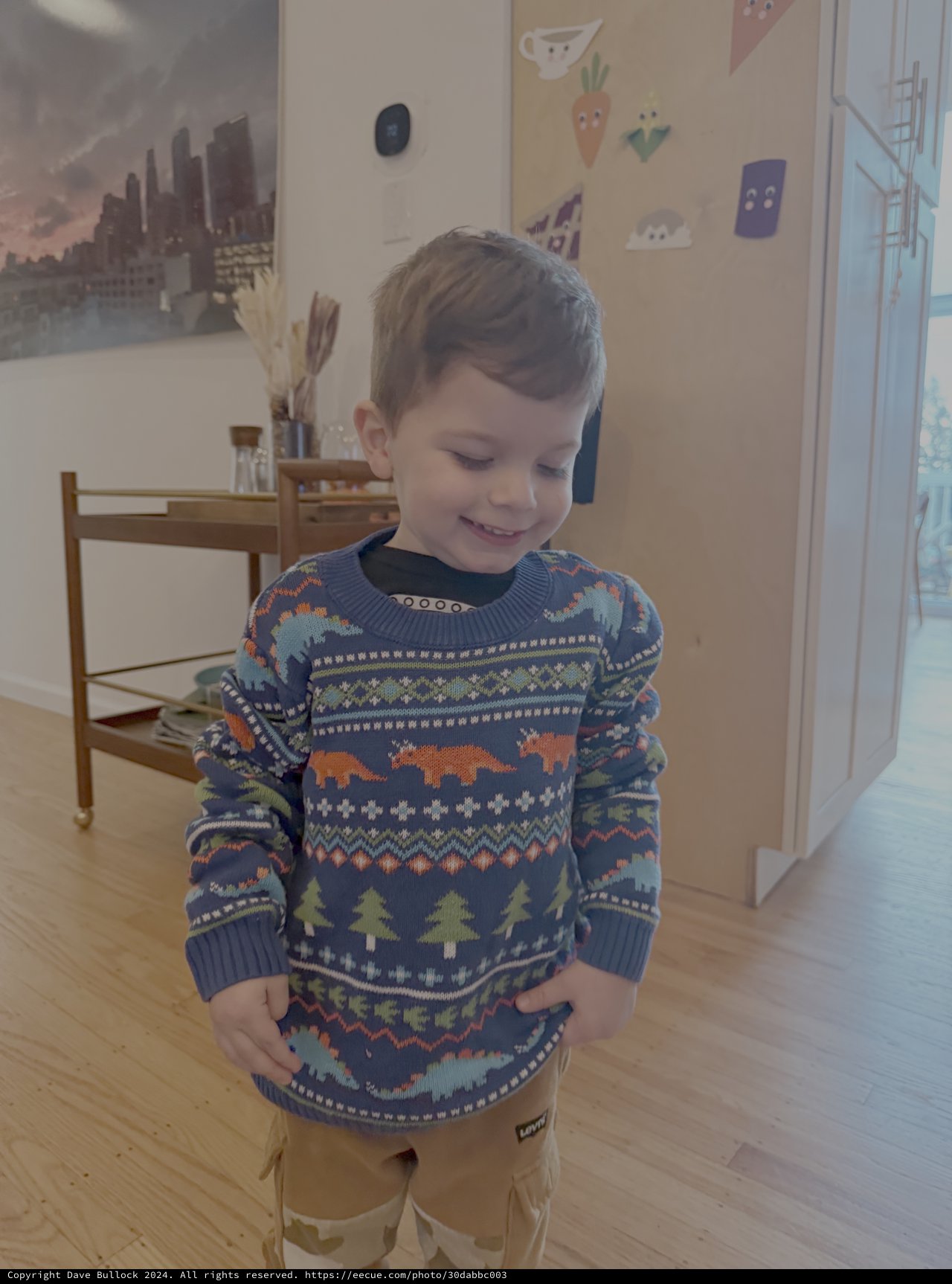 Young Boy in Festive Holiday Sweater