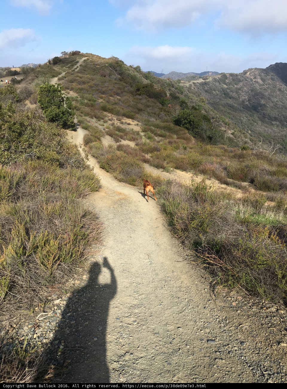 Mountain Adventure with Man's Best Friend