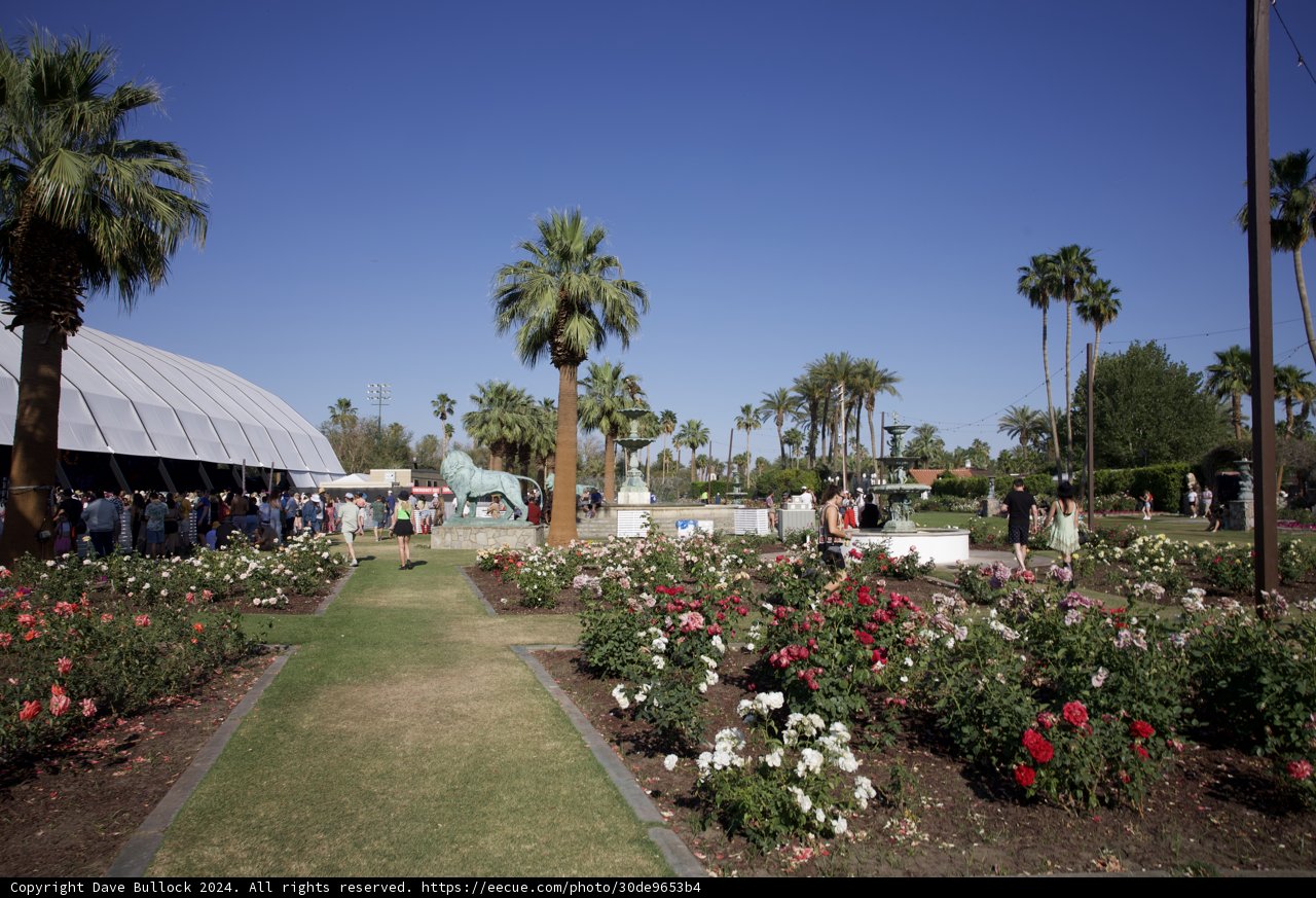 Blossoming Beats: A Day at Coachella 2024