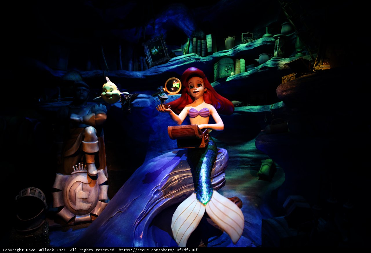 Magical Encounter with The Little Mermaid