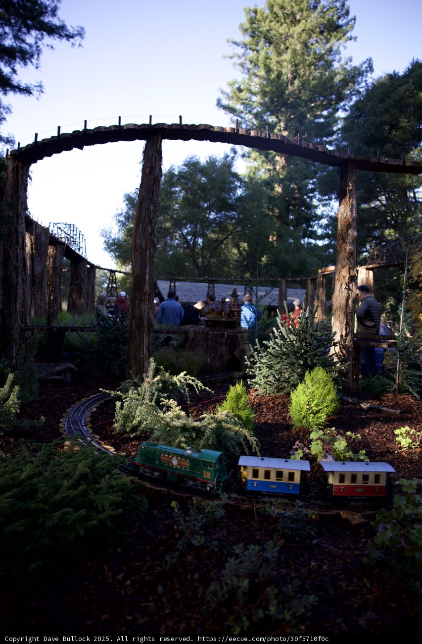 Whimsical Wonders of Thistlewyck