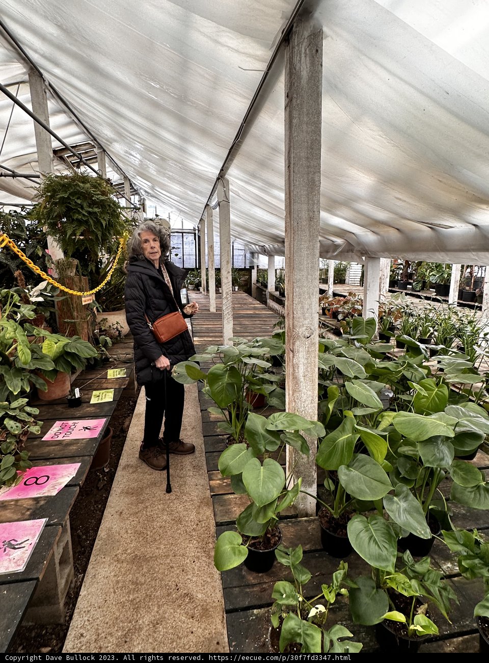 Rhoda B's Garden Walk