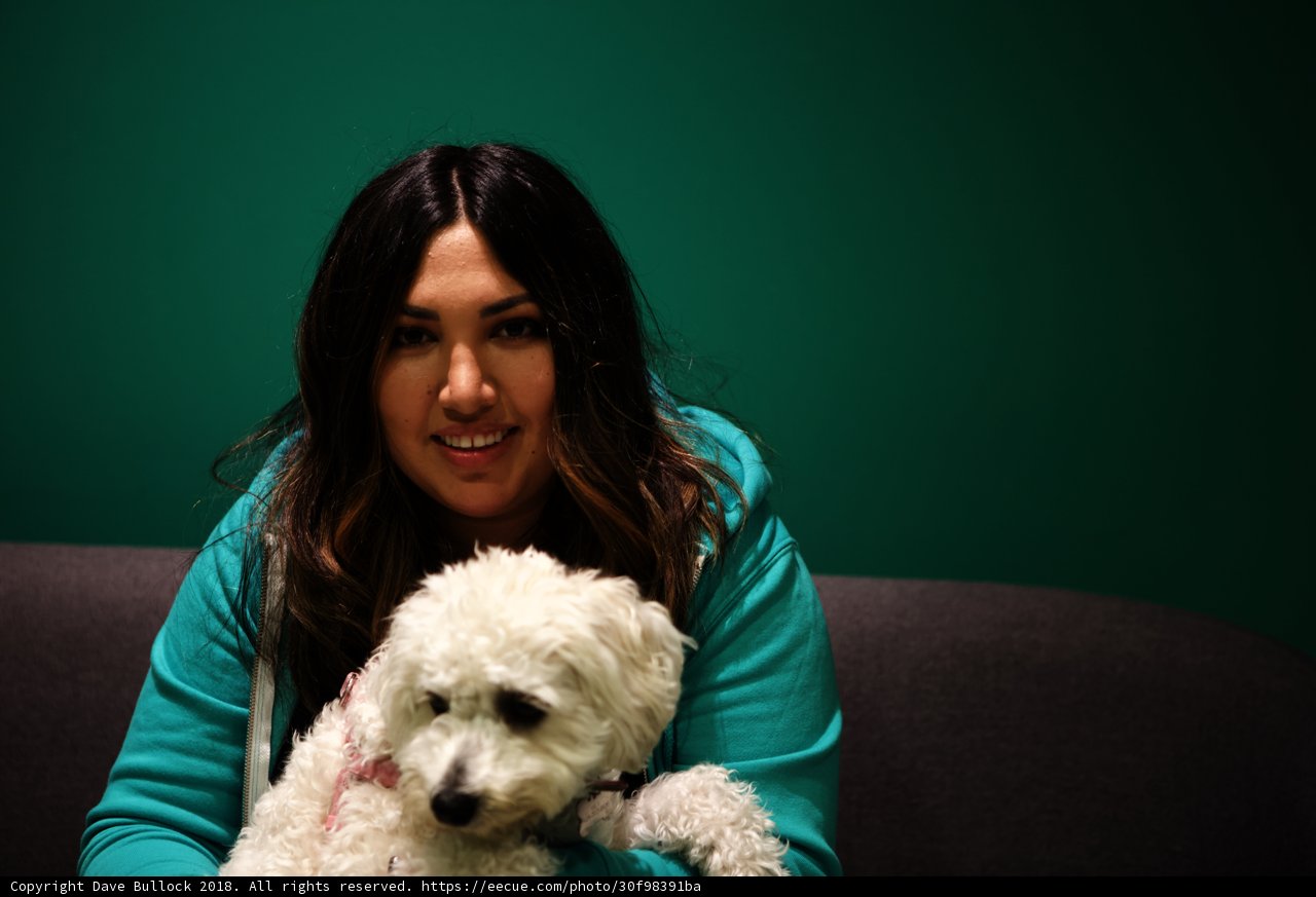 Green sweater and a white dog