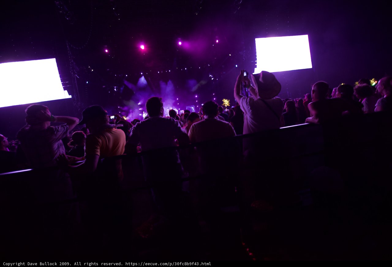 Purple Haze at Coachella 2009