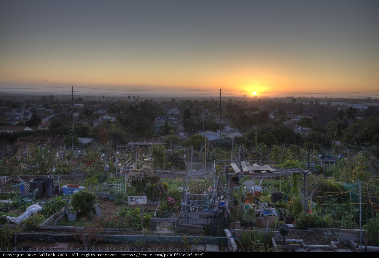 Sundown at the Community Garden