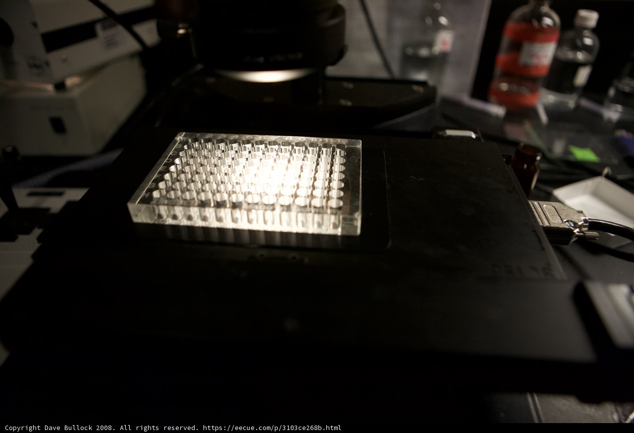 Microscopic Examination of Small Object
