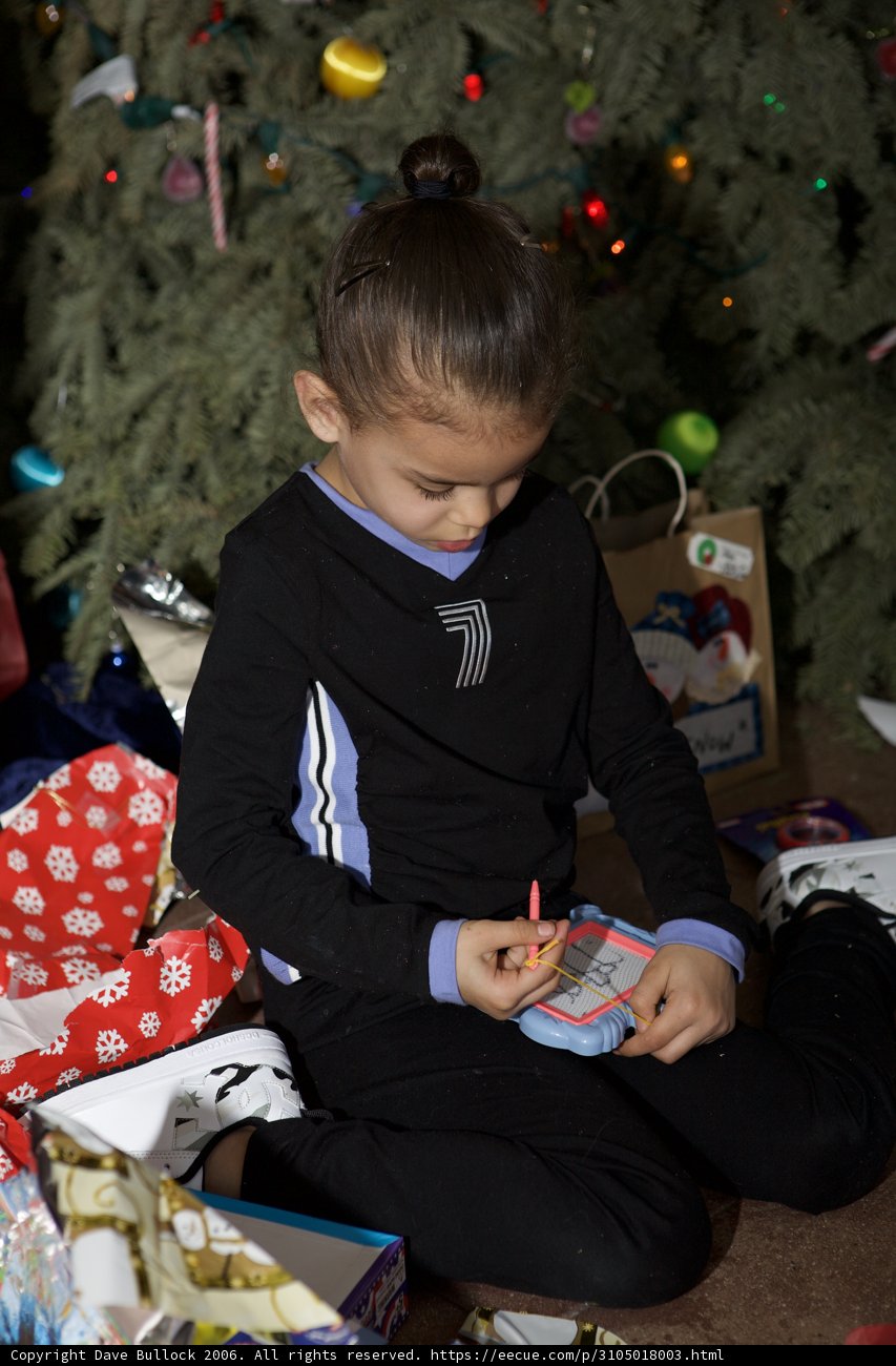 A Christmas Surprise