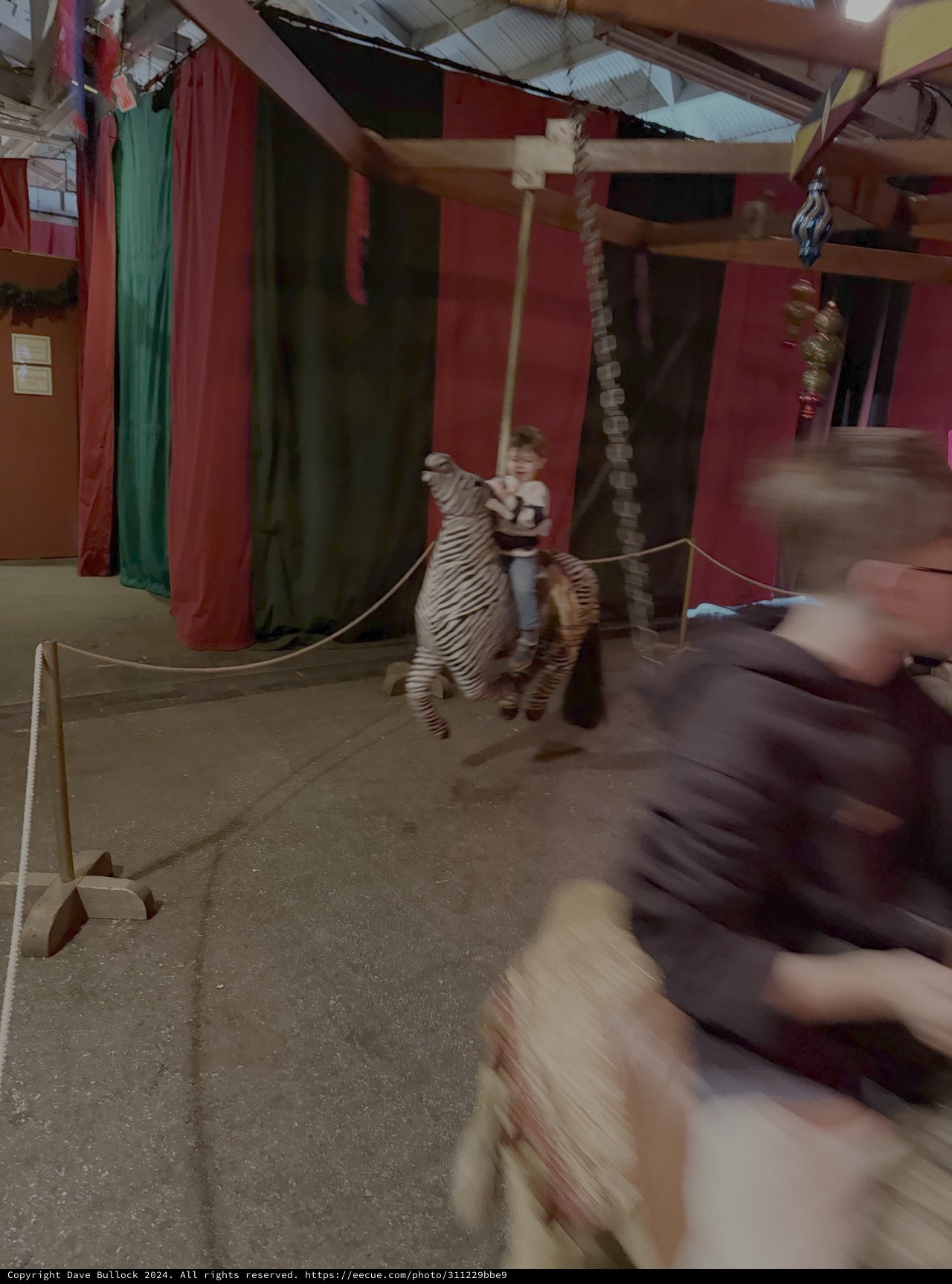 Circus Performance with Tiger and Trainer