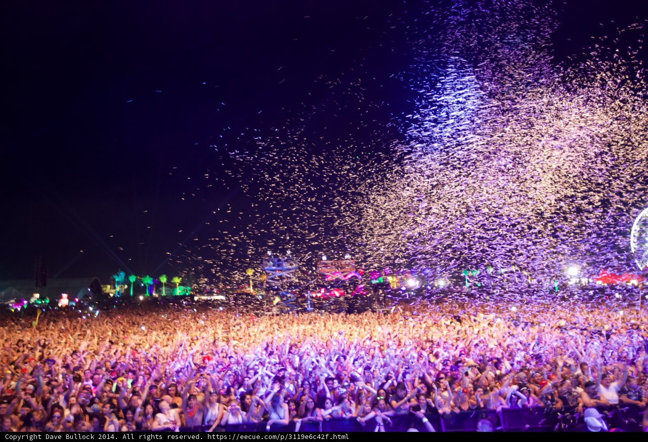 Buddy Holly in the midst of Coachella chaos
