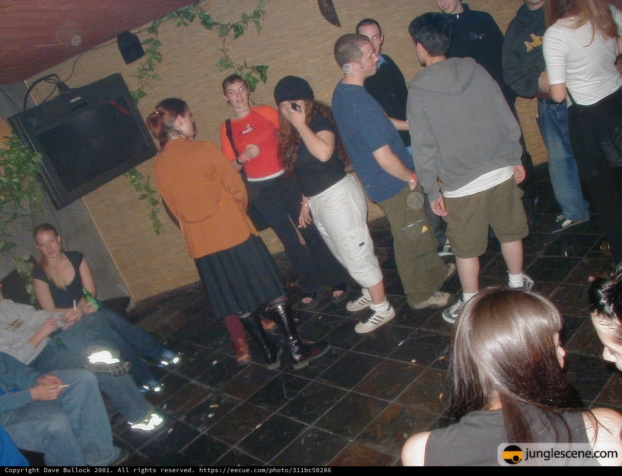 Night Out with Friends