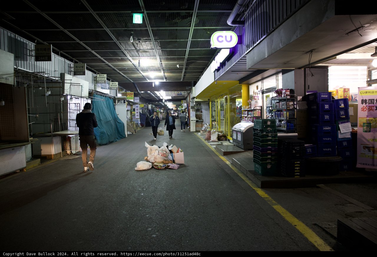 Midnight Stroll in Urban Korea