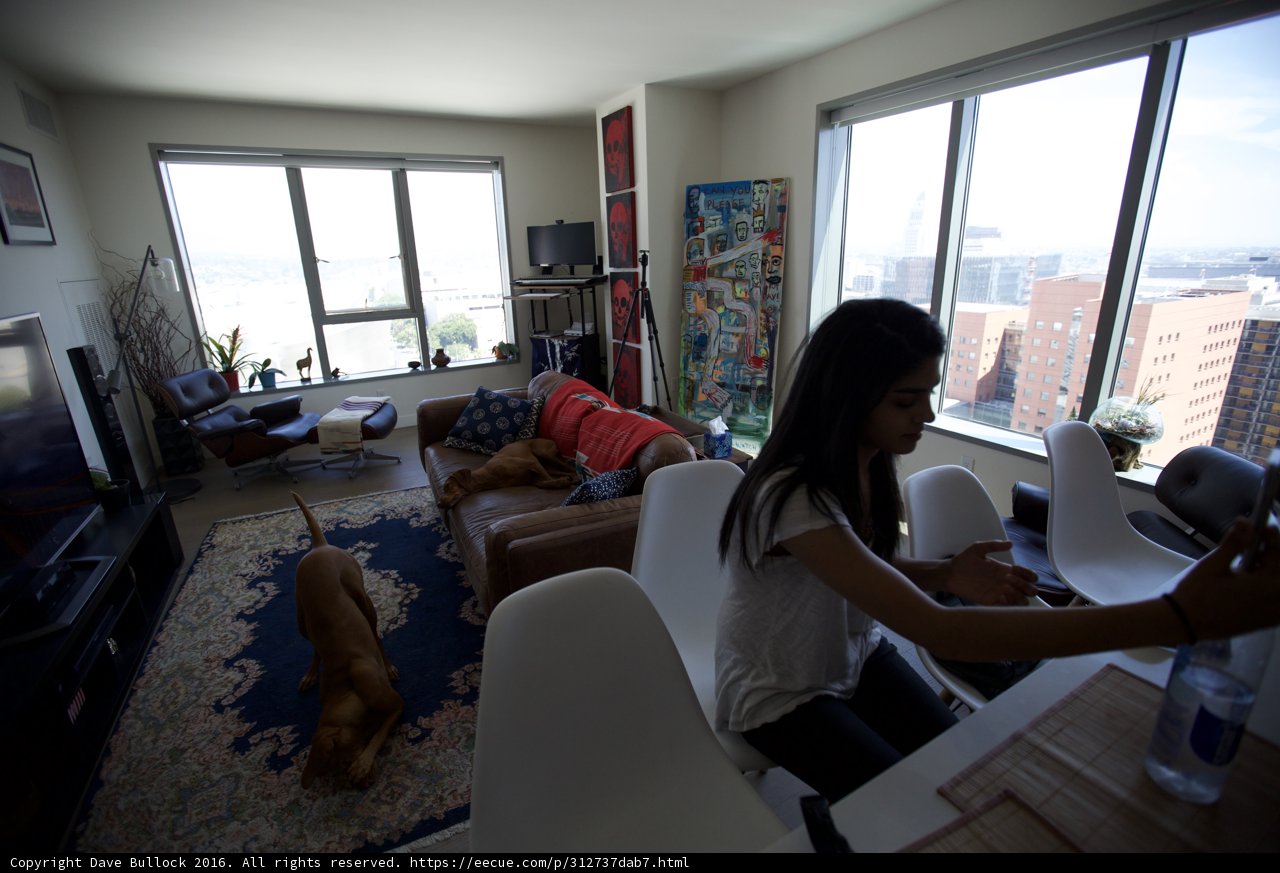 Cozy afternoon with furry friend