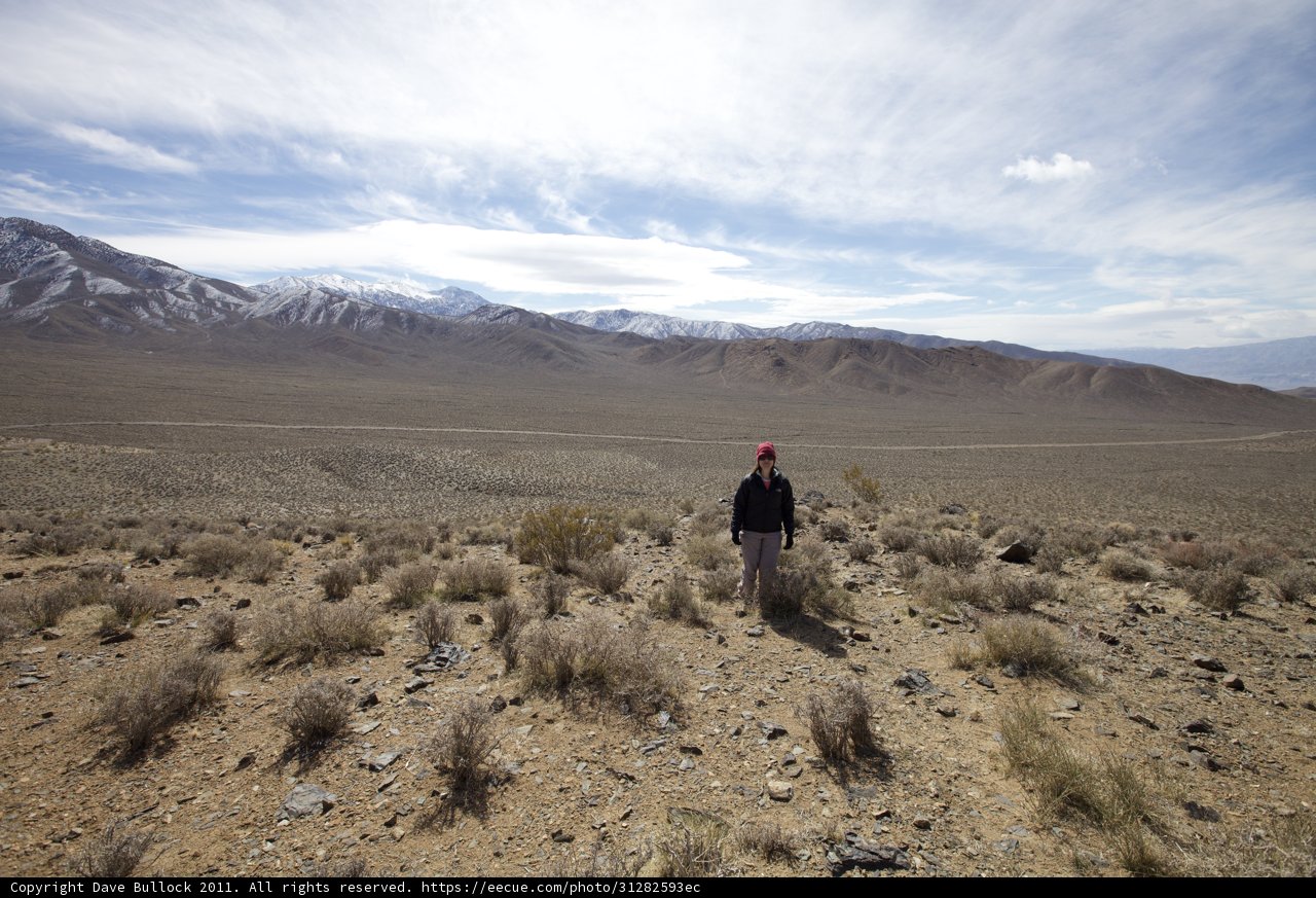 Standing Alone in the Vast Desert Wilderness