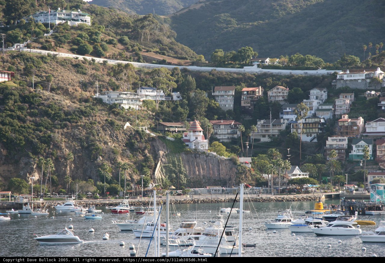 A Bustling Harbor Town