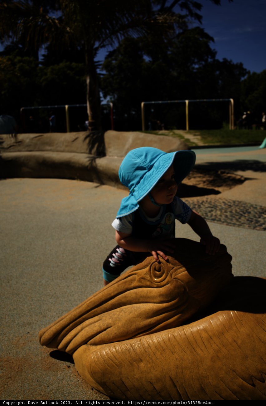 All Aboard the Whale - Summer Fun at Golden Gate Park
